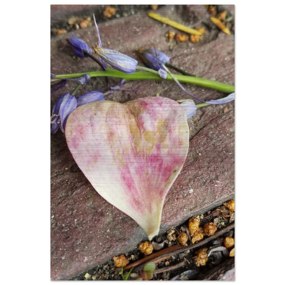 Heart of Leaf - Brushed Aluminum Print