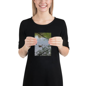 Canada Goose Reflection Poster